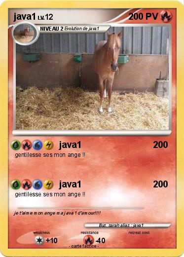 Pokemon java1