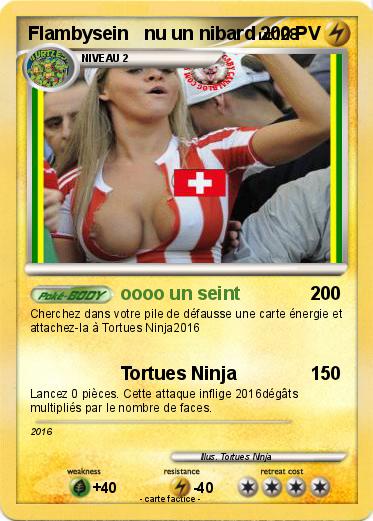 Pokemon Flambysein   nu un nibard