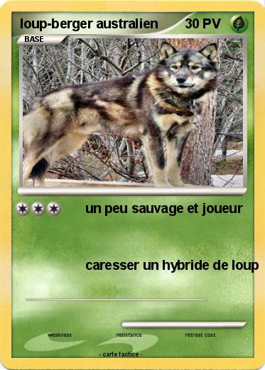 Pokemon loup-berger australien