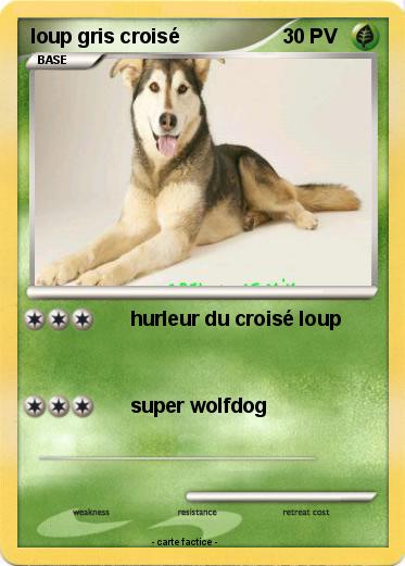 Pokemon loup gris croisé