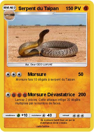 Pokemon Serpent du Taipan
