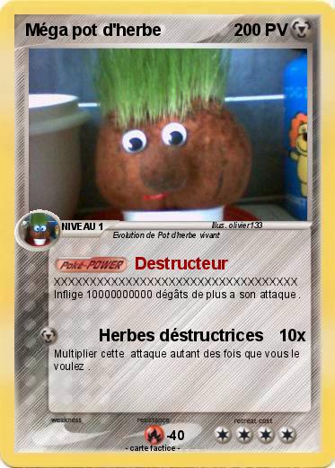 Pokemon Méga pot d'herbe
