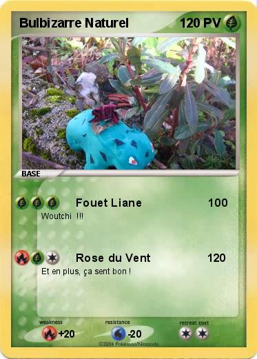 Pokemon Bulbizarre Naturel