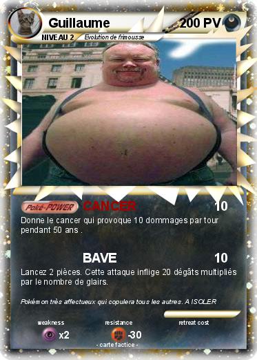 Pokemon Guillaume