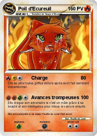 Pokemon Poil d'Ecureuil