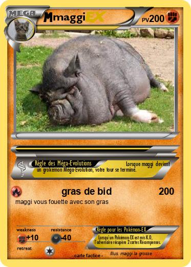 Pokemon maggi