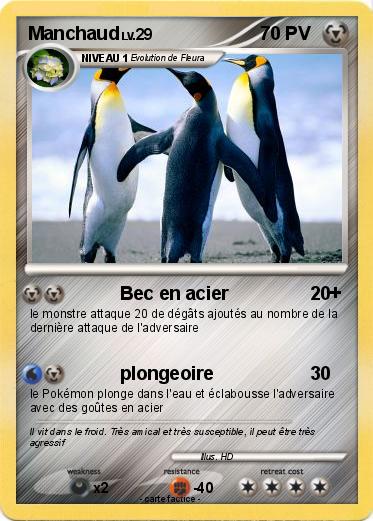 Pokemon Manchaud
