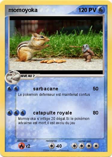 Pokemon momoyoka