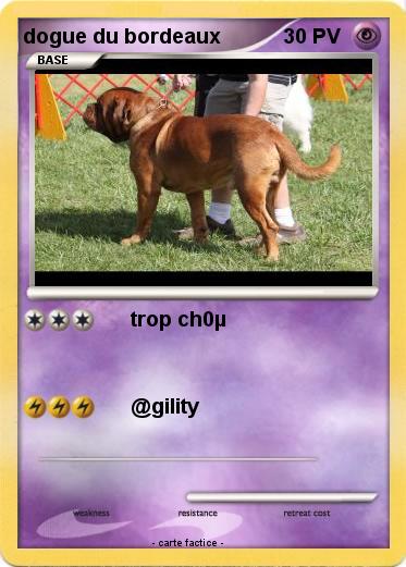 Pokemon dogue du bordeaux