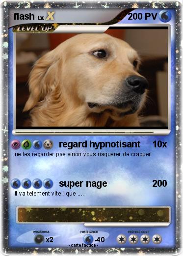Pokemon flash