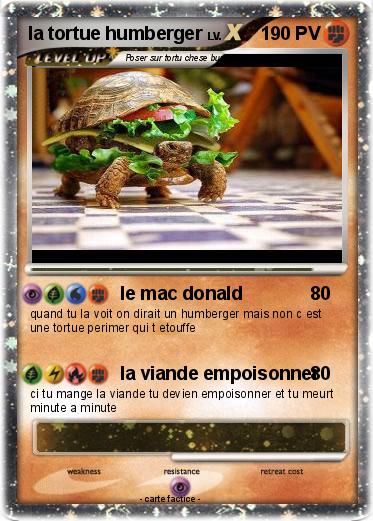 Pokemon la tortue humberger