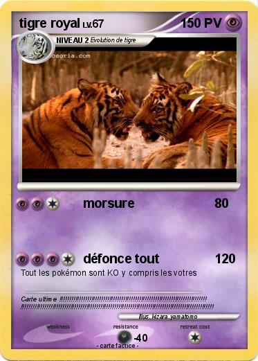 Pokemon tigre royal