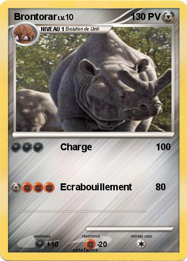 Pokemon Brontorar
