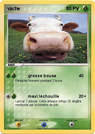 Pokemon vache