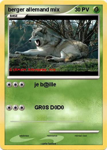 Pokemon berger allemand mix