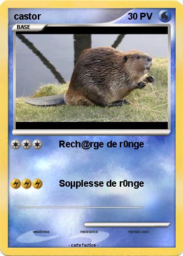 Pokemon castor