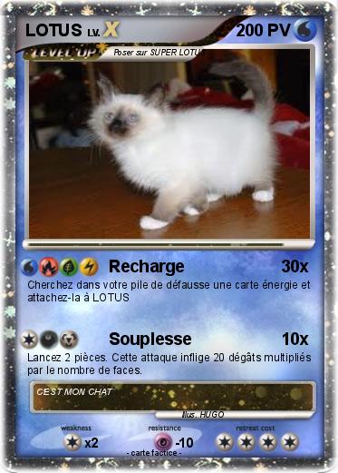 Pokemon LOTUS