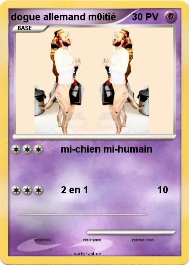 Pokemon dogue allemand m0itié