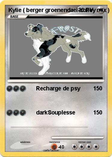 Pokemon Kylie ( berger groenendael-colley mix )