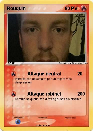 Pokemon Rouquin