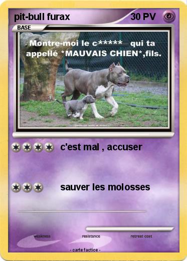 Pokemon pit-bull furax