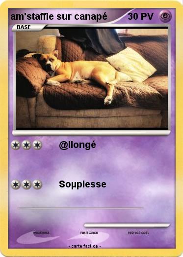 Pokemon am'staffie sur canapé