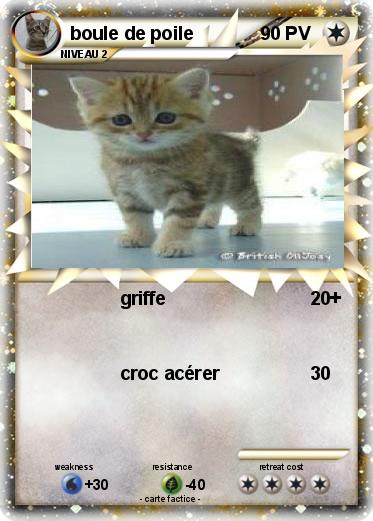 Pokemon boule de poile