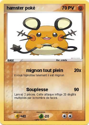 Pokemon hamster poké
