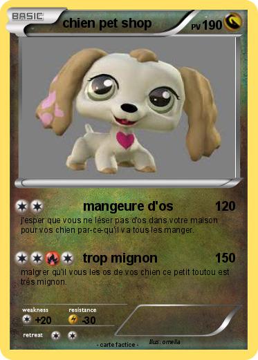 Pokemon chien pet shop