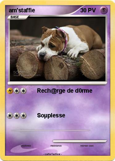 Pokemon am'staffie