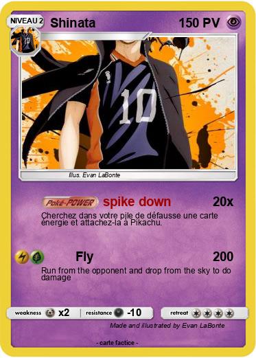 Pokemon Shinata