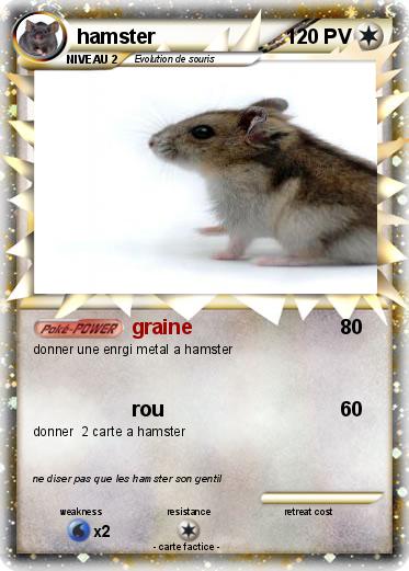 Pokemon hamster