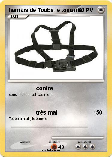 Pokemon harnais de Toube le tosa inu