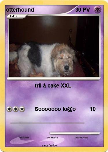 Pokemon otterhound