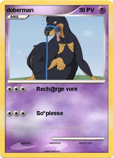Pokemon doberman