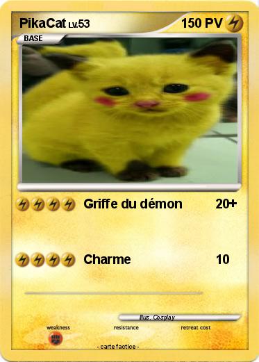 Pokemon PikaCat
