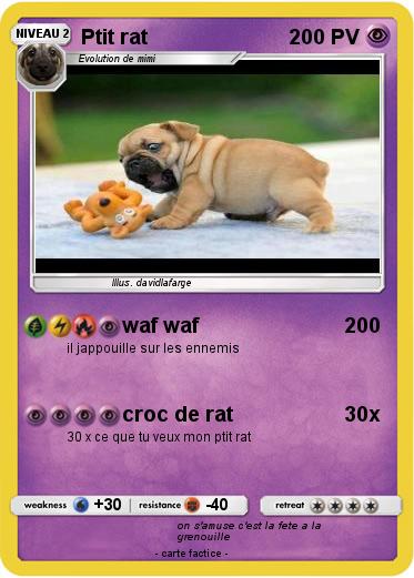 Pokemon Ptit rat