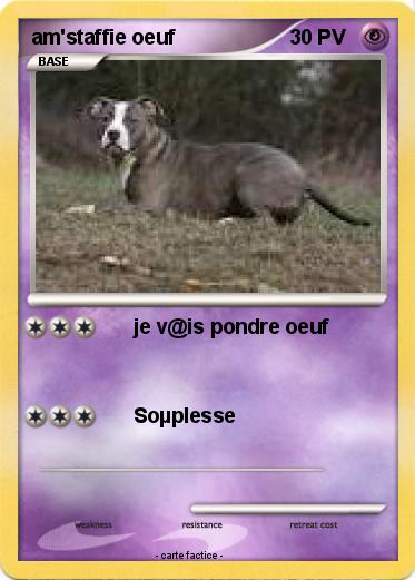 Pokemon am'staffie oeuf