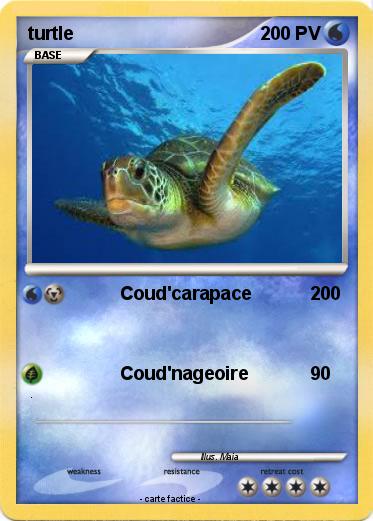 Pokemon turtle