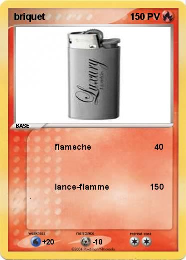 Pokemon briquet
