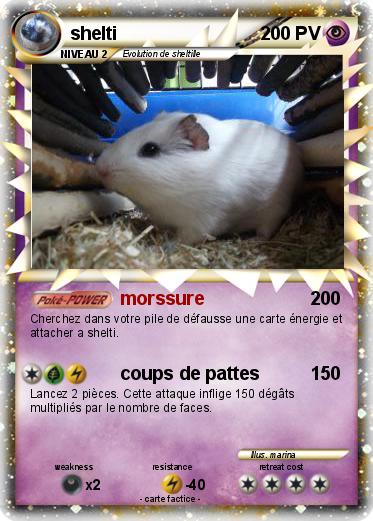 Pokemon shelti