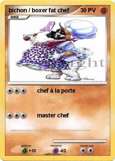 Pokemon bichon / boxer fat chef