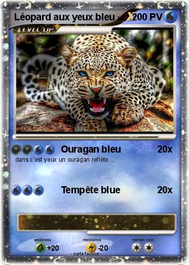 Pokemon Léopard aux yeux bleu