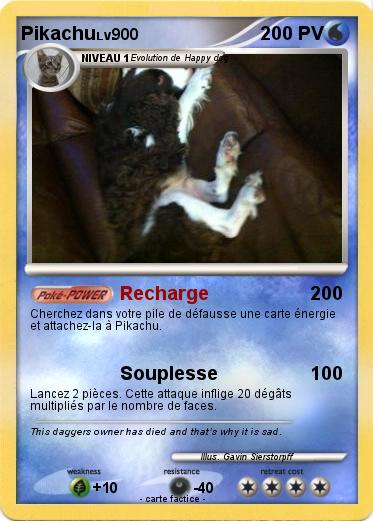 Pokemon Sad dog