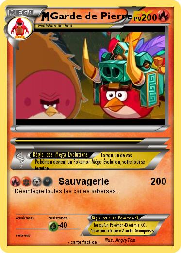 Pokemon Garde de Pierre