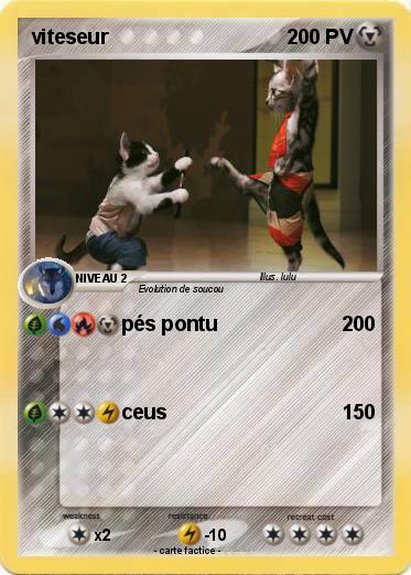 Pokemon viteseur
