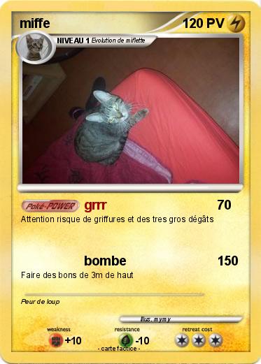 Pokemon miffe