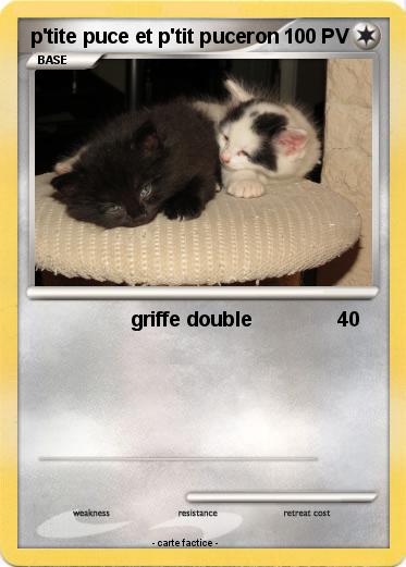 Pokemon p'tite puce et p'tit puceron