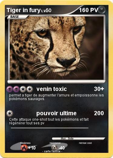 Pokemon Tiger in fury