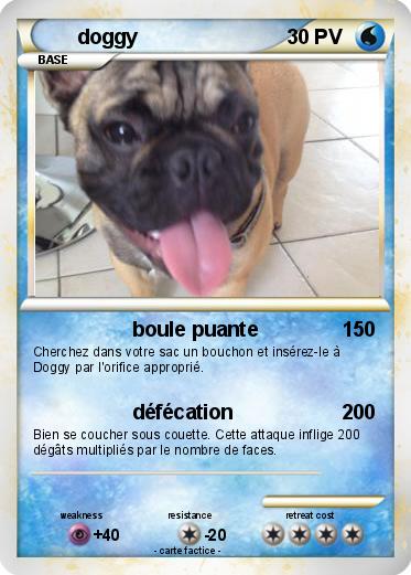 Pokemon doggy